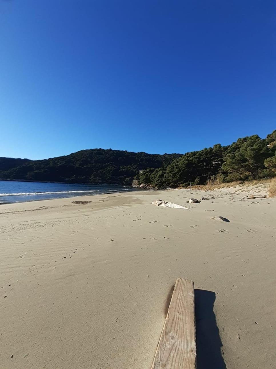 Apartment Nadine Mljet Mit Meerblick Okuklje 외부 사진