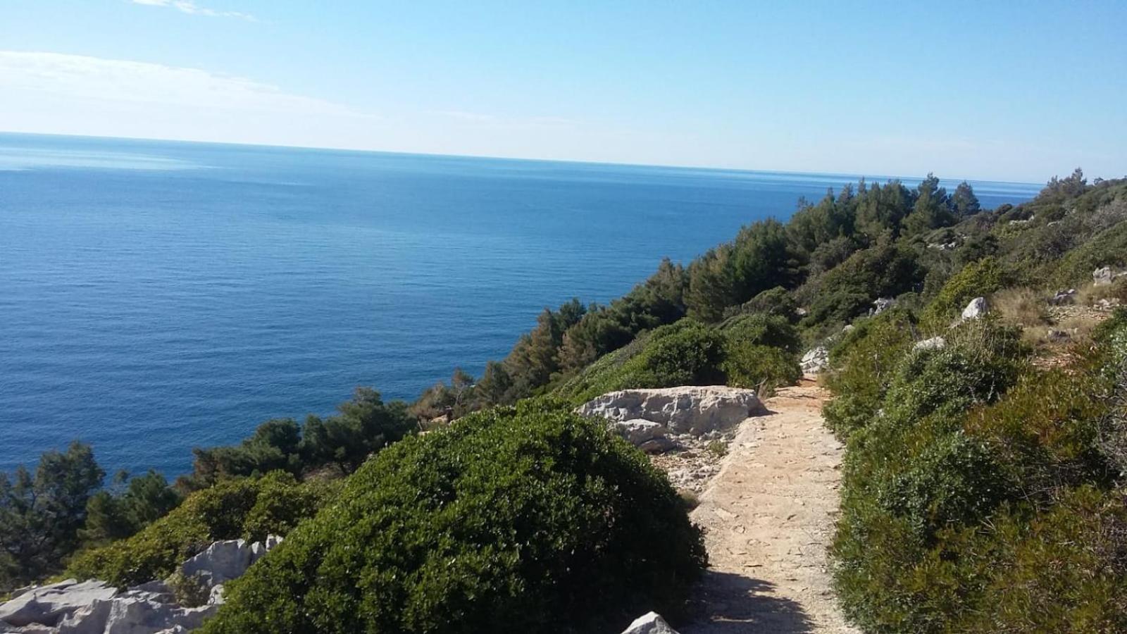 Apartment Nadine Mljet Mit Meerblick Okuklje 외부 사진