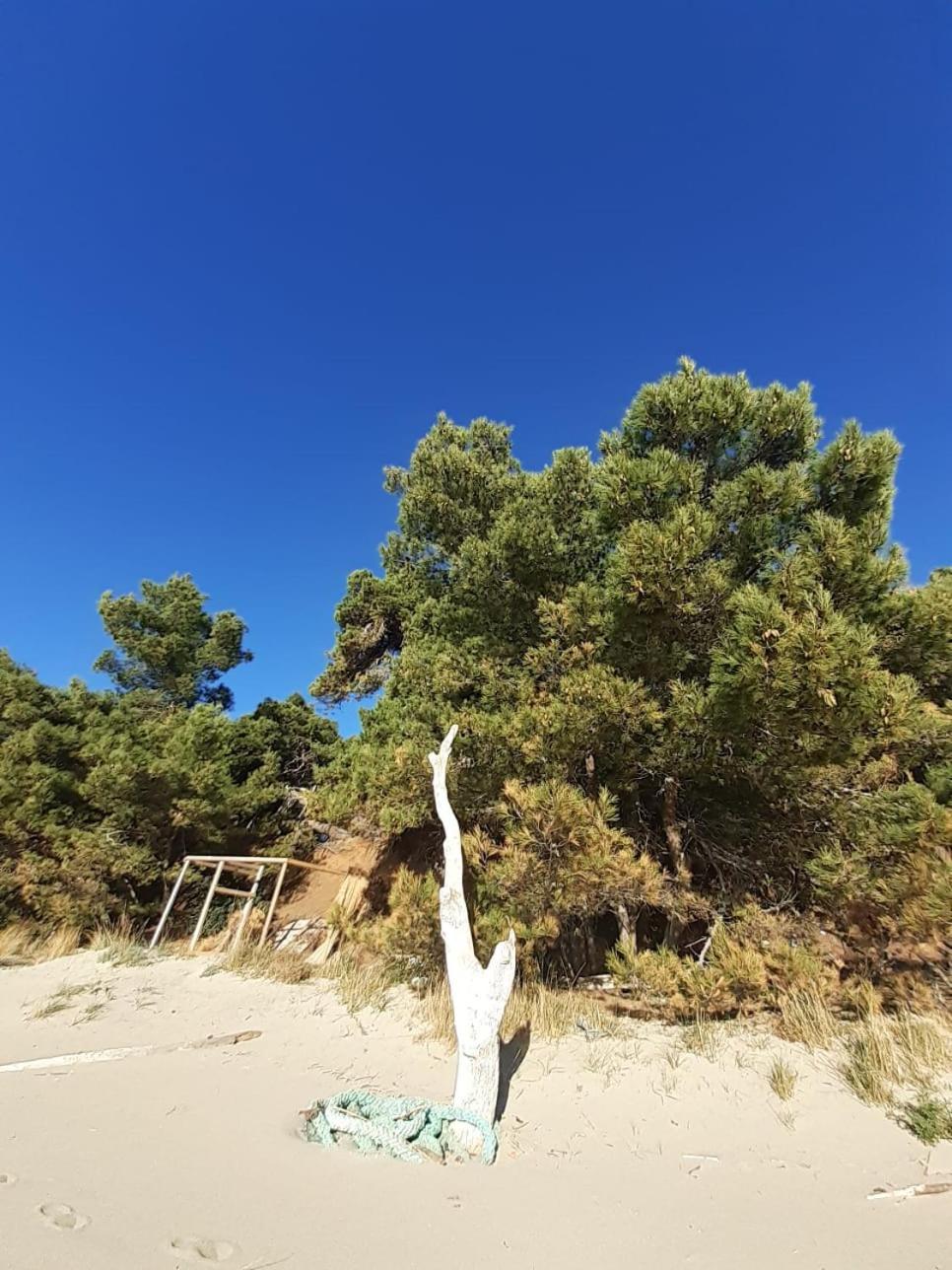 Apartment Nadine Mljet Mit Meerblick Okuklje 외부 사진